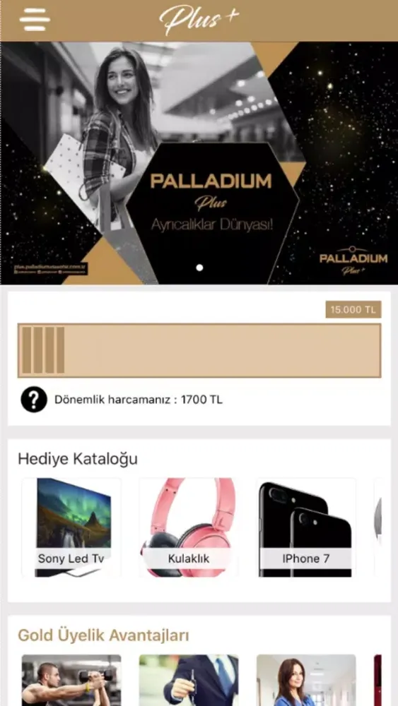 Tangkapan layar Palladium+