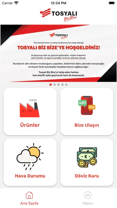 Ảnh chụp màn hình của Tosyalı BizBize