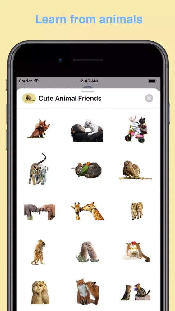 Скриншоты cute animal friends