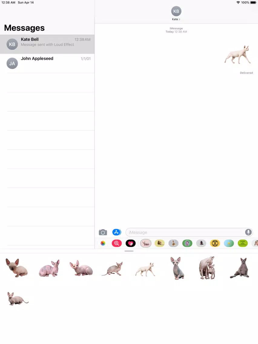 cute bald cats look like rats iPad  Screenshots