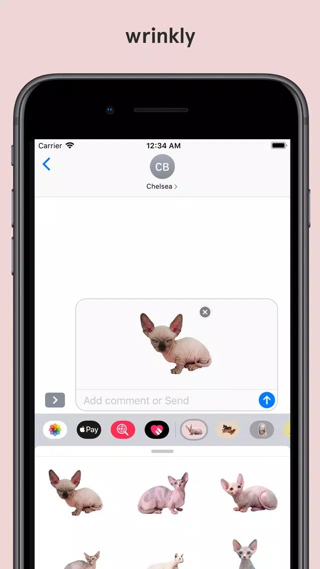cute bald cats look like rats Screenshots