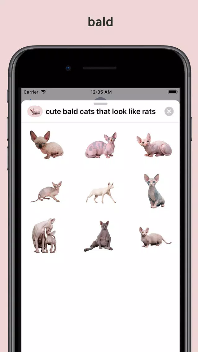 cute bald cats look like rats Screenshots