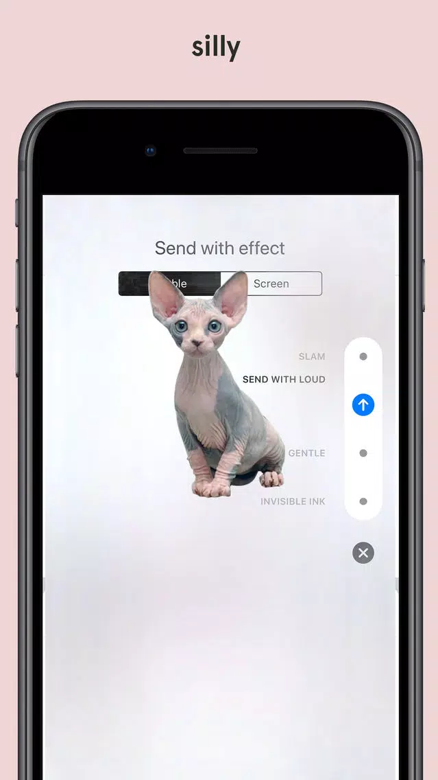 cute bald cats look like rats Screenshots