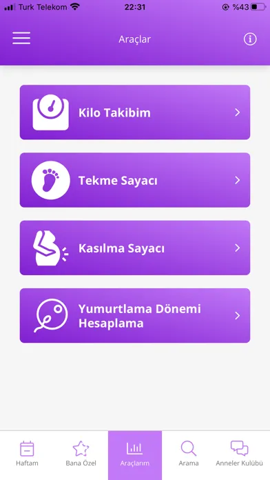 Скриншоты Hamilelik Akademisi