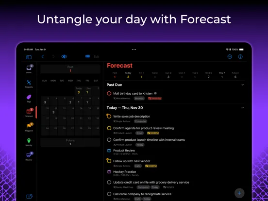 OmniFocus 4 iPad Screenshots