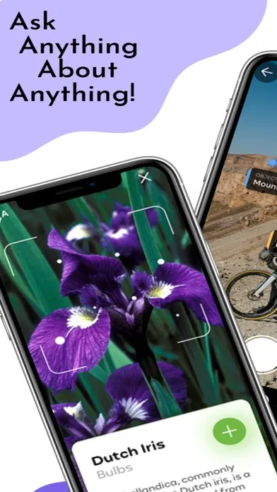 AI VISION: Identify Anything Screenshots