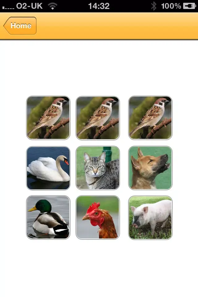 صور Dog Training - Sounds