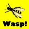 Wasp