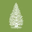 Expeditions: Arnold Arboretum