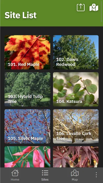 Expeditions: Arnold Arboretum سکرین شاٹس