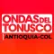 Ondas del Tonusco