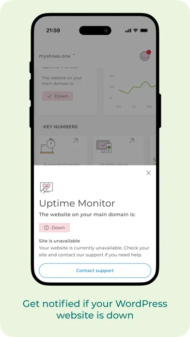 one.com Companion Screenshots