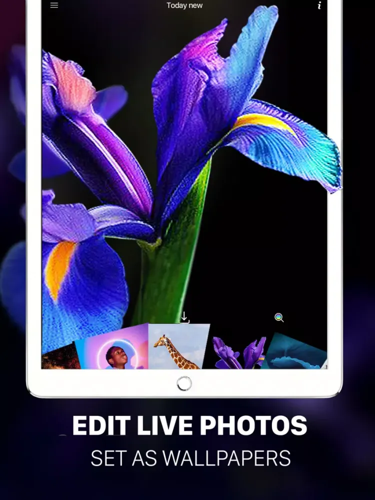 Zrzuty ekranu Cool Live Wallpaper 4K iPad 