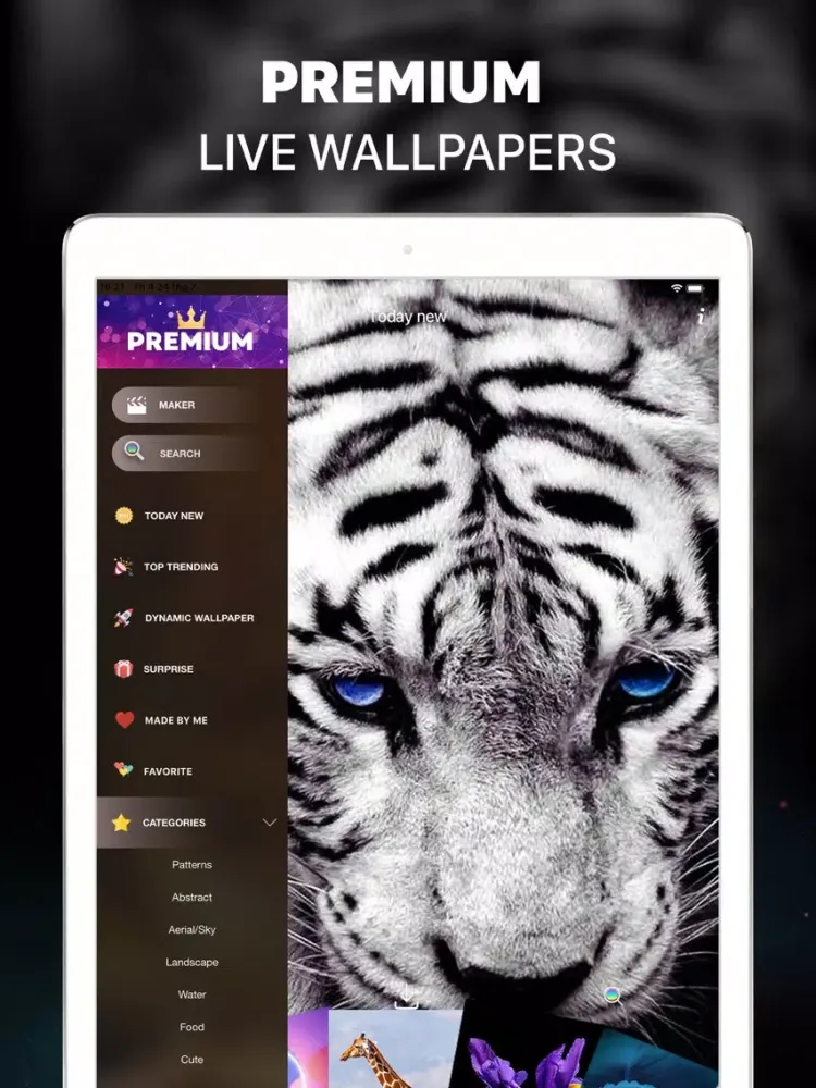Zrzuty ekranu Cool Live Wallpaper 4K iPad 