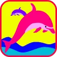 Dolphin Show Games