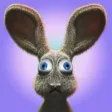 Wonder Bunny