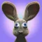Wonder Bunny