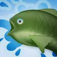 What The Fish?!