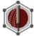 Tap Cricket