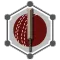 Tap Cricket