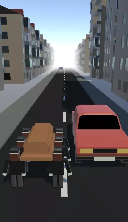 Zrzuty ekranu Coffin Run