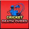 Cricket Death overs