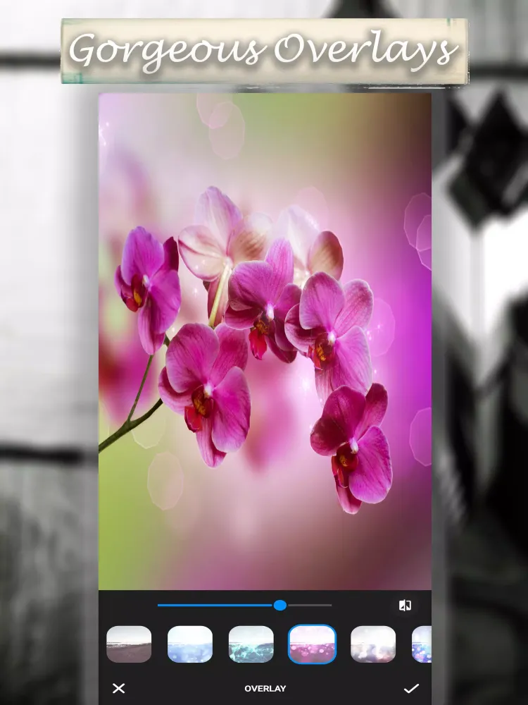 Instant Camera FX Retro Filter स्क्रीनशॉट