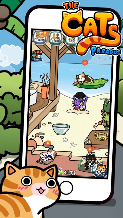صور The Cats Paradise