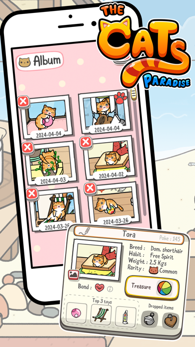 صور The Cats Paradise