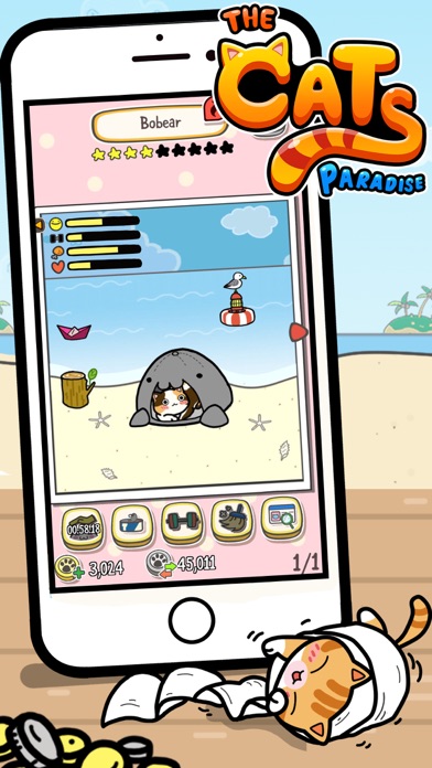 صور The Cats Paradise