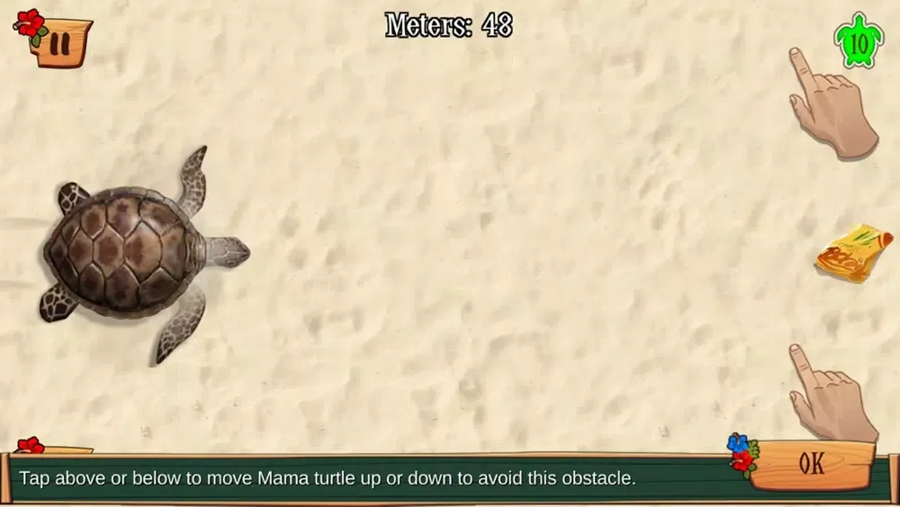 Zrzuty ekranu Turtle Trails – Save Me!