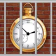 Anytime Bail Anytime Bail