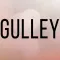 Gulley Bail bonds