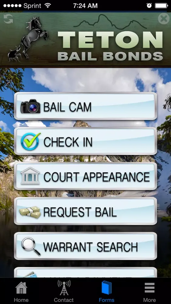 Captures d'écran de Idaho Bail