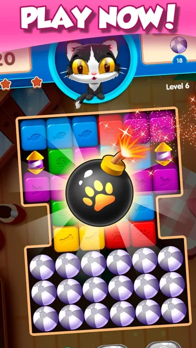 Kitten Cube Blast应用截图