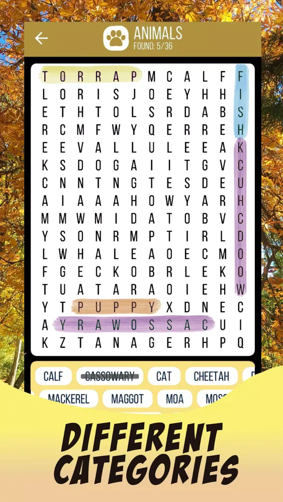 Word Search 2024 سکرین شاٹس