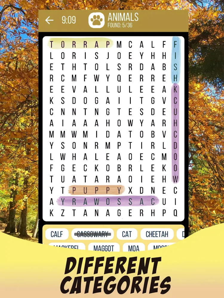 Word Search 2024 سکرین شاٹس