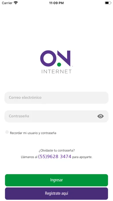 On Internet Screenshots