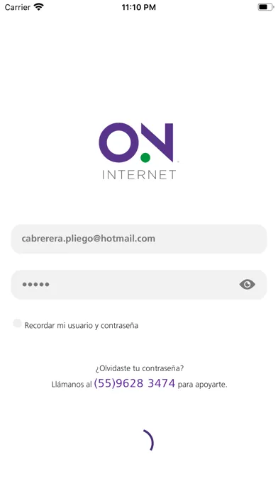 On Internet Screenshots