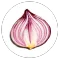 Onion Search Engine