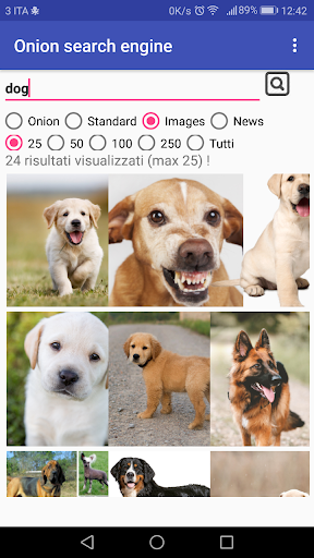 Onion Search Engine Screenshots