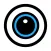 Webcam Manager