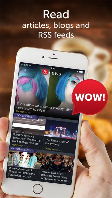 Скриншоты Anews.com