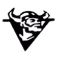 Viking Horns Viking Horns