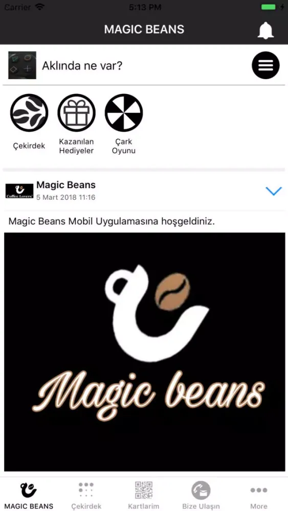 تصاویر Magic Beans