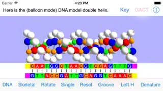 OnScreen DNA Model for iPhone Screenshots