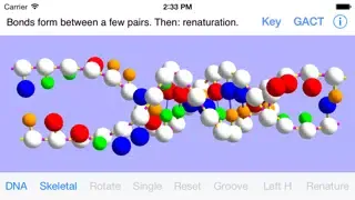 OnScreen DNA Model for iPhone Screenshots