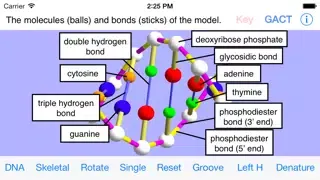 OnScreen DNA Model for iPhone Screenshots