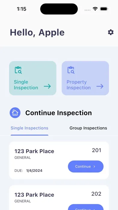 Скриншоты Onsite Analytics Inspections
