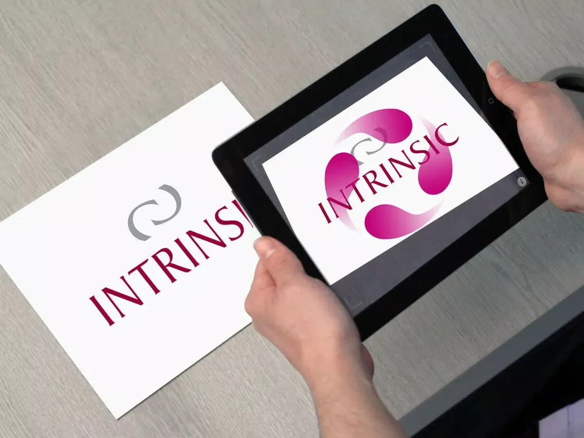 Tangkapan skrin Intrinsic AR iPad 